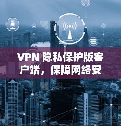 VPN 隐私保护版客户端，保障网络安全的创新解决方案