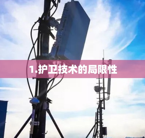 1.护卫技术的局限性