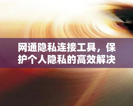 网通隐私连接工具，保护个人隐私的高效解决方案