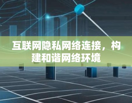 互联网隐私网络连接,构建和谐网络环境