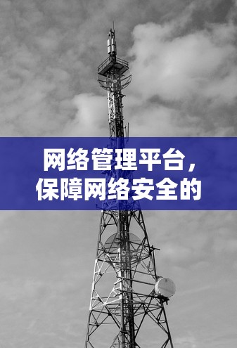 网络管理平台,保障网络安全的基石