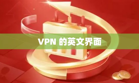 VPN 的英文界面