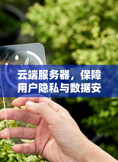 云端服务器，保障用户隐私与数据安全的关键