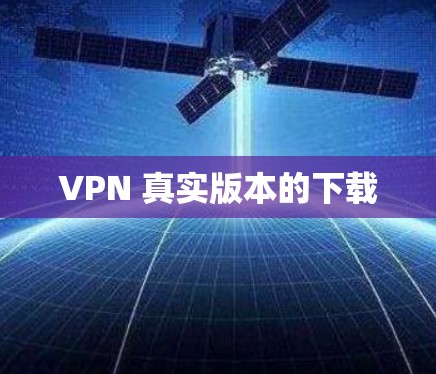 VPN 真实版本的下载
