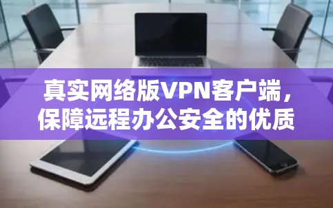 真实网络版VPN客户端，保障远程办公安全的优质选择