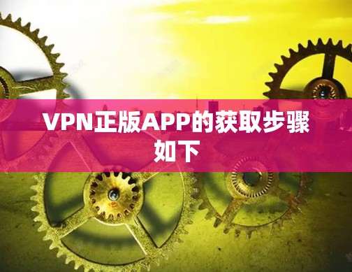 VPN正版APP的获取步骤如下