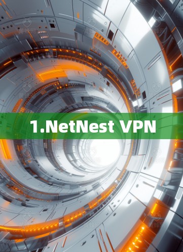 1.NetNest VPN