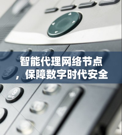 智能代理网络节点，保障数字时代安全的智慧之选