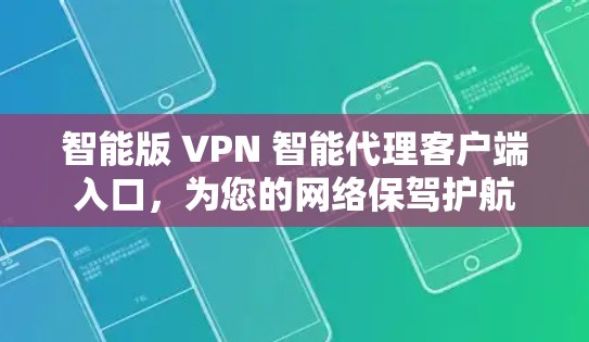智能版 VPN 智能代理客户端入口，为您的网络保驾护航