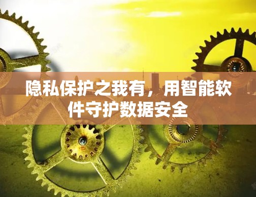 隐私保护之我有，用智能软件守护数据安全